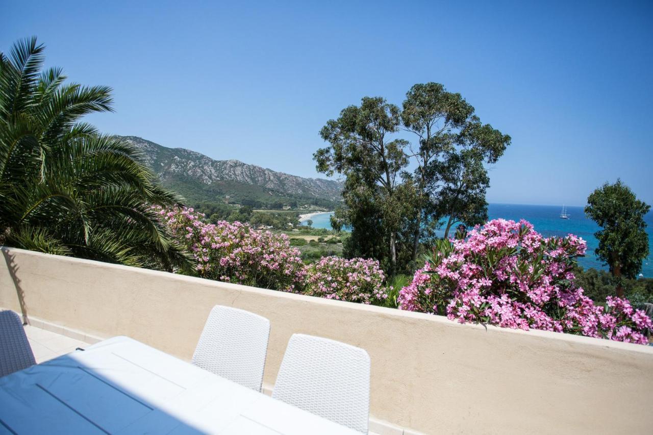 Appartement Terrasse La Citadelle Appartements Saint Florent Exteriér fotografie